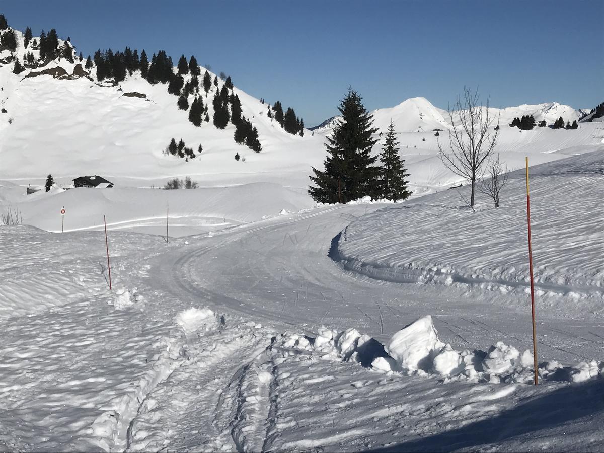 Residence Les Chardons Argentes Samoens Exterior photo