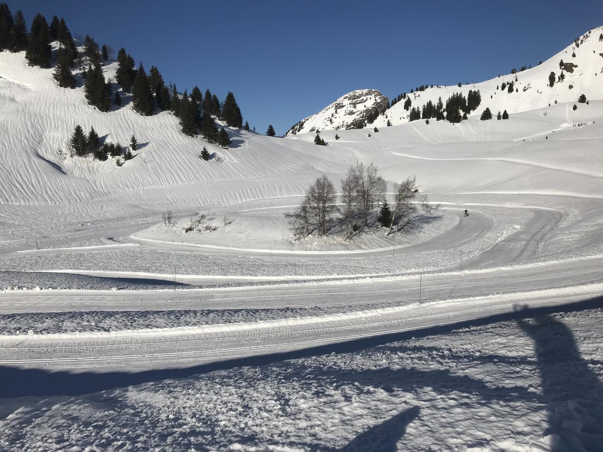 Residence Les Chardons Argentes Samoens Exterior photo